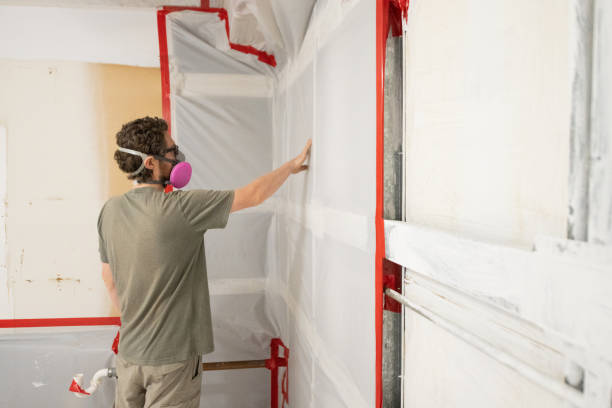  Todd Creek, CO Mold Removal Pros