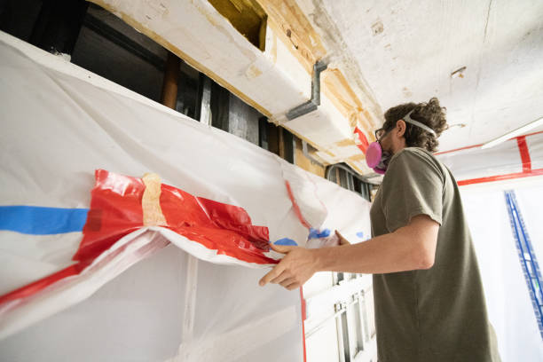 Best Commercial Mold Inspection  in Todd Creek, CO